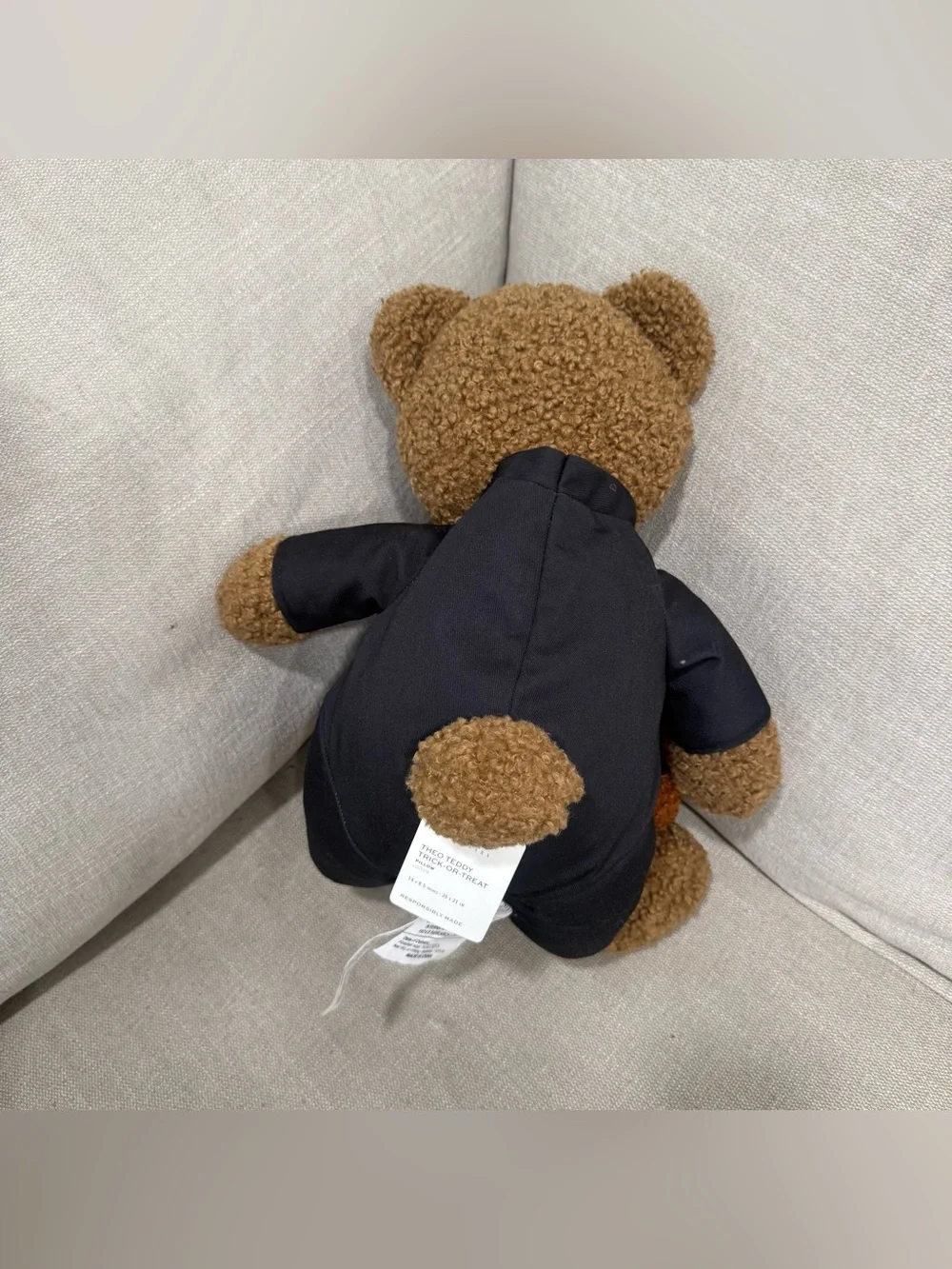 Pottery Barn Theo Teddy Trick-Or-Treat Pillow NEW